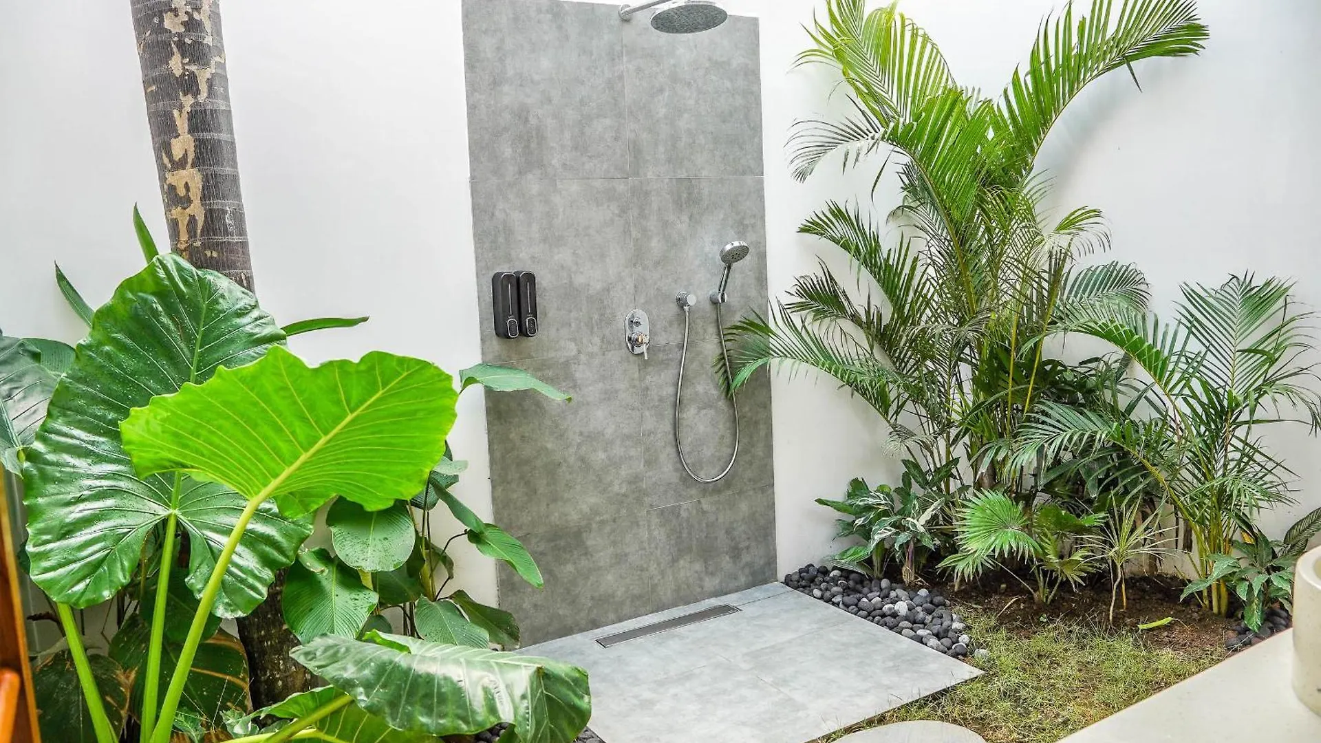 New - Villa Rene In Nature Ubud   Ubud (Bali)